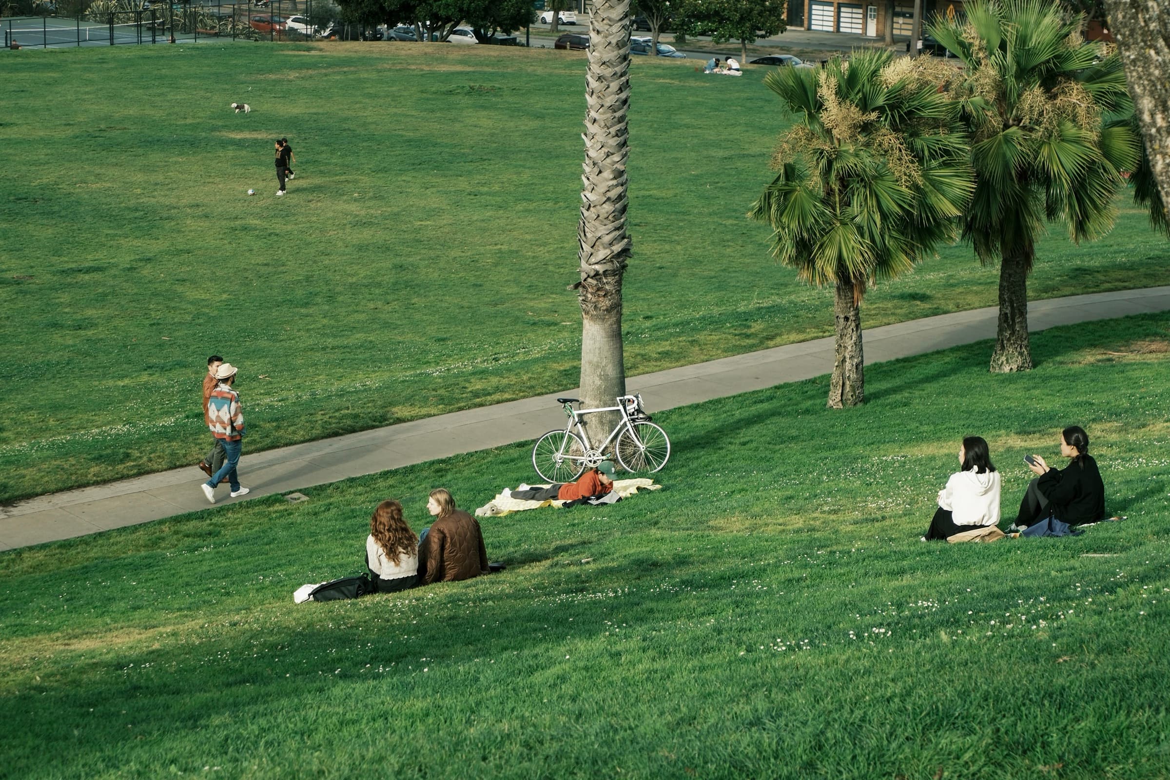 Dolores Park, afternoon