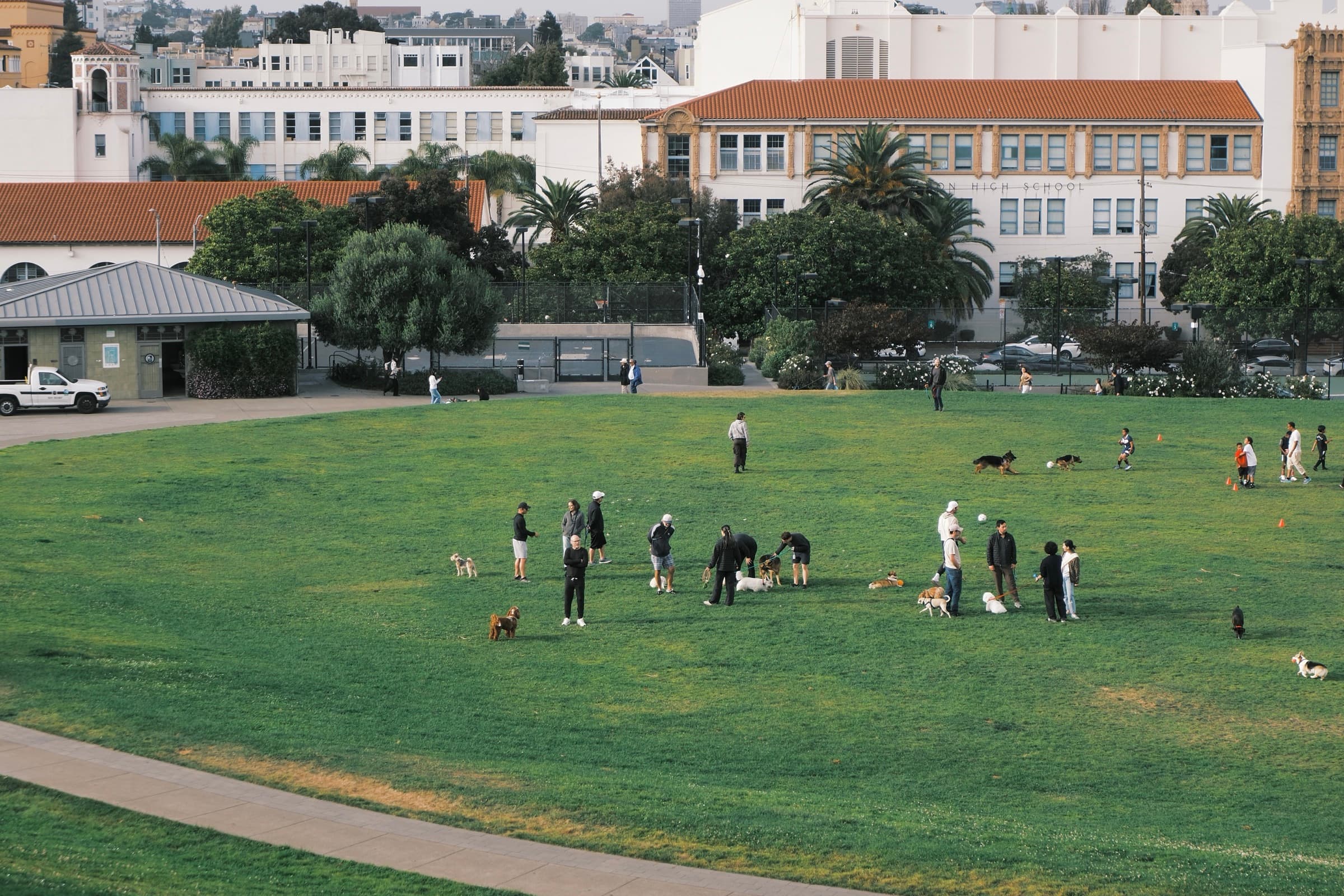 Dolores Park, dogs