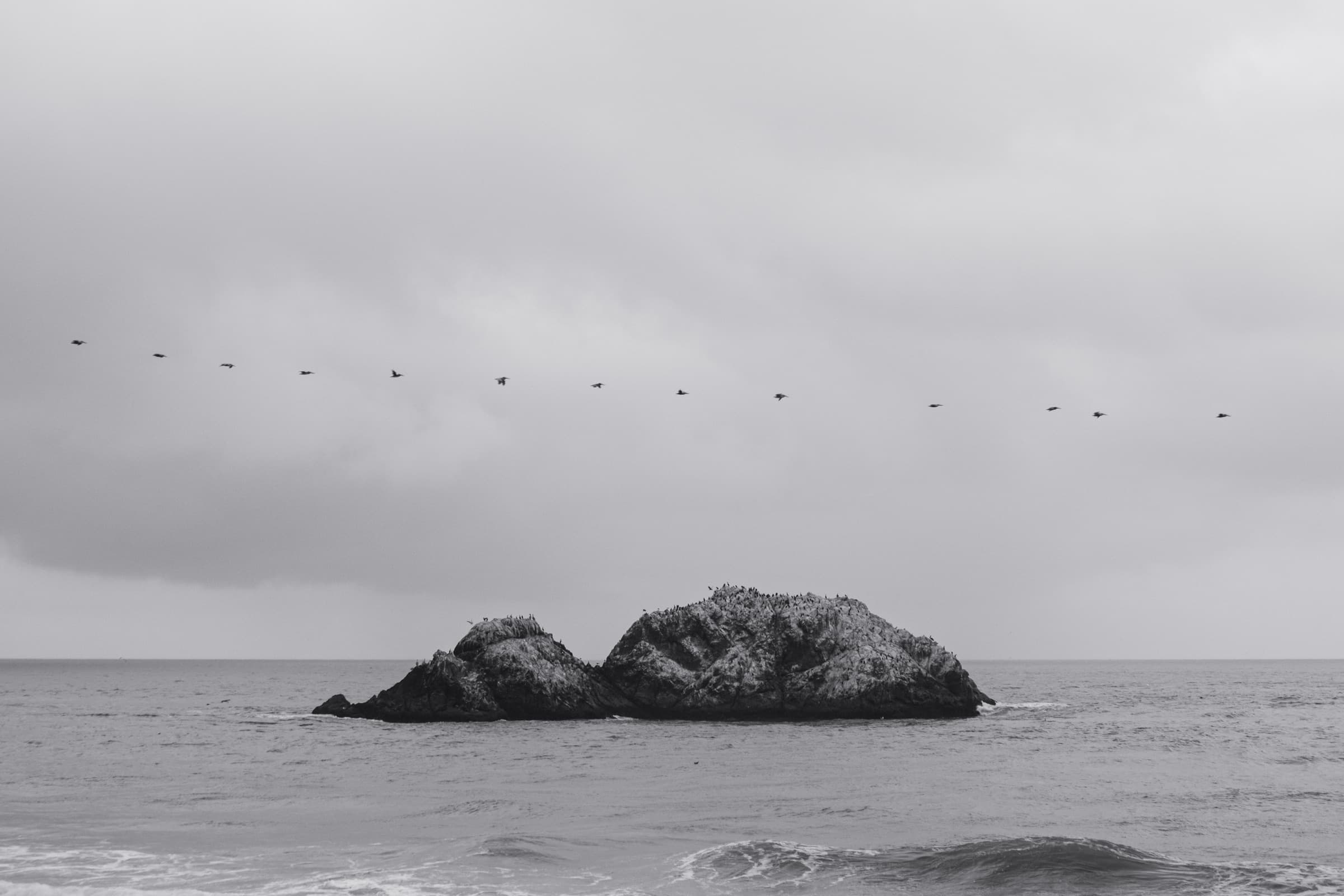 Lone rock, birds