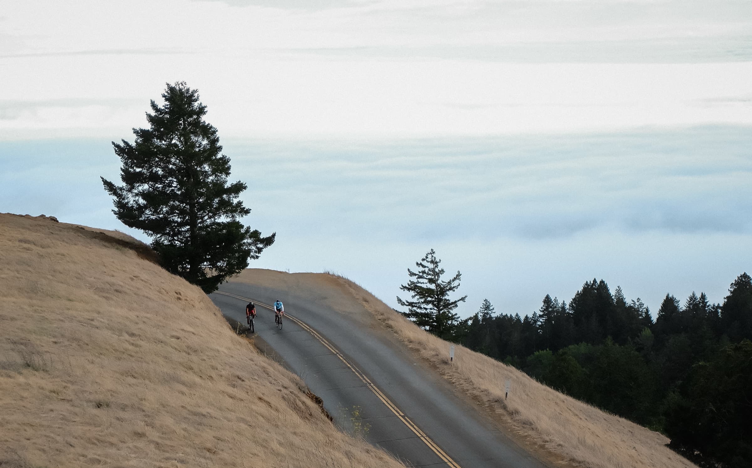 Mount Tam, above the fog