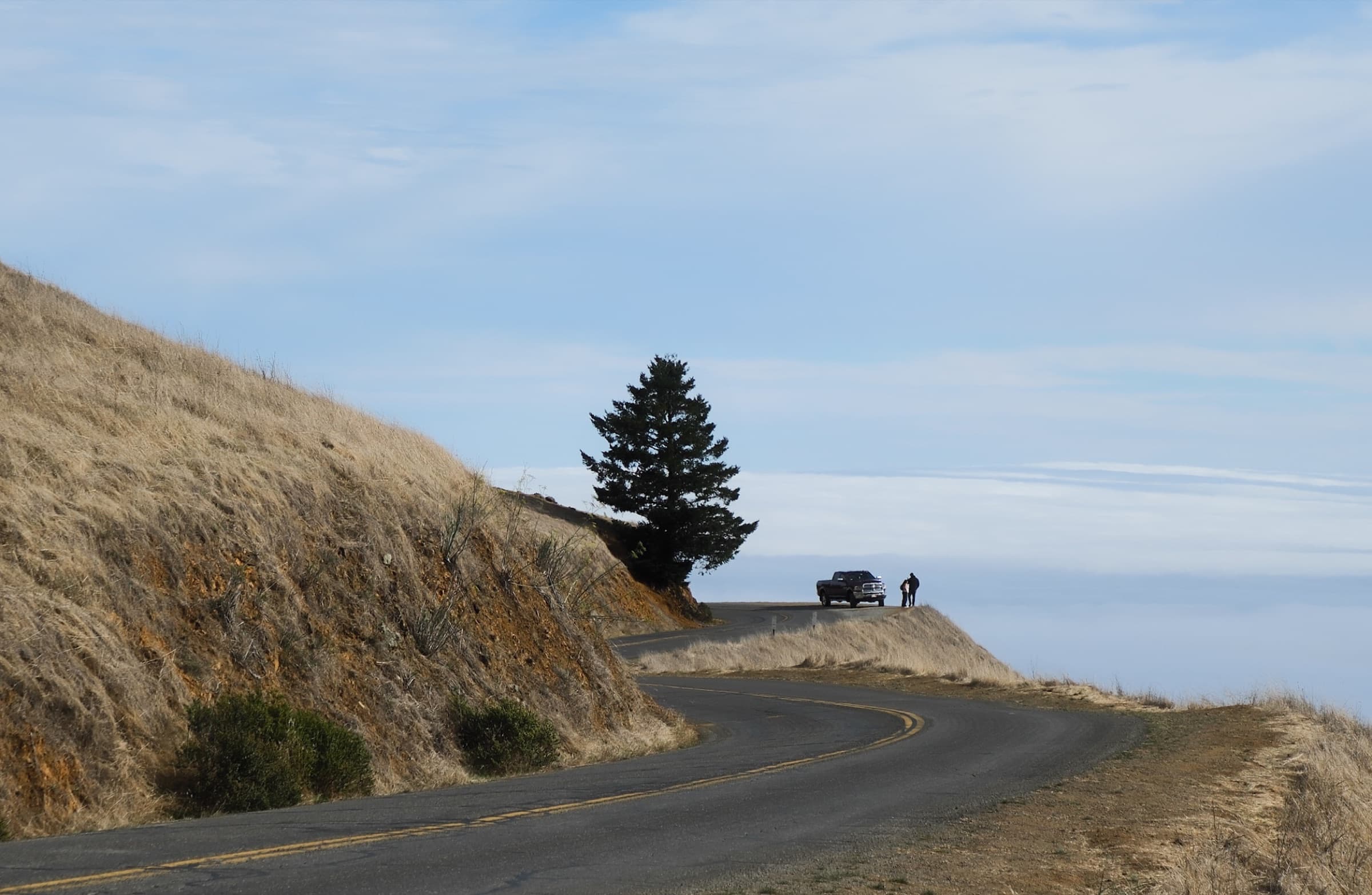 Mount Tam, winding road